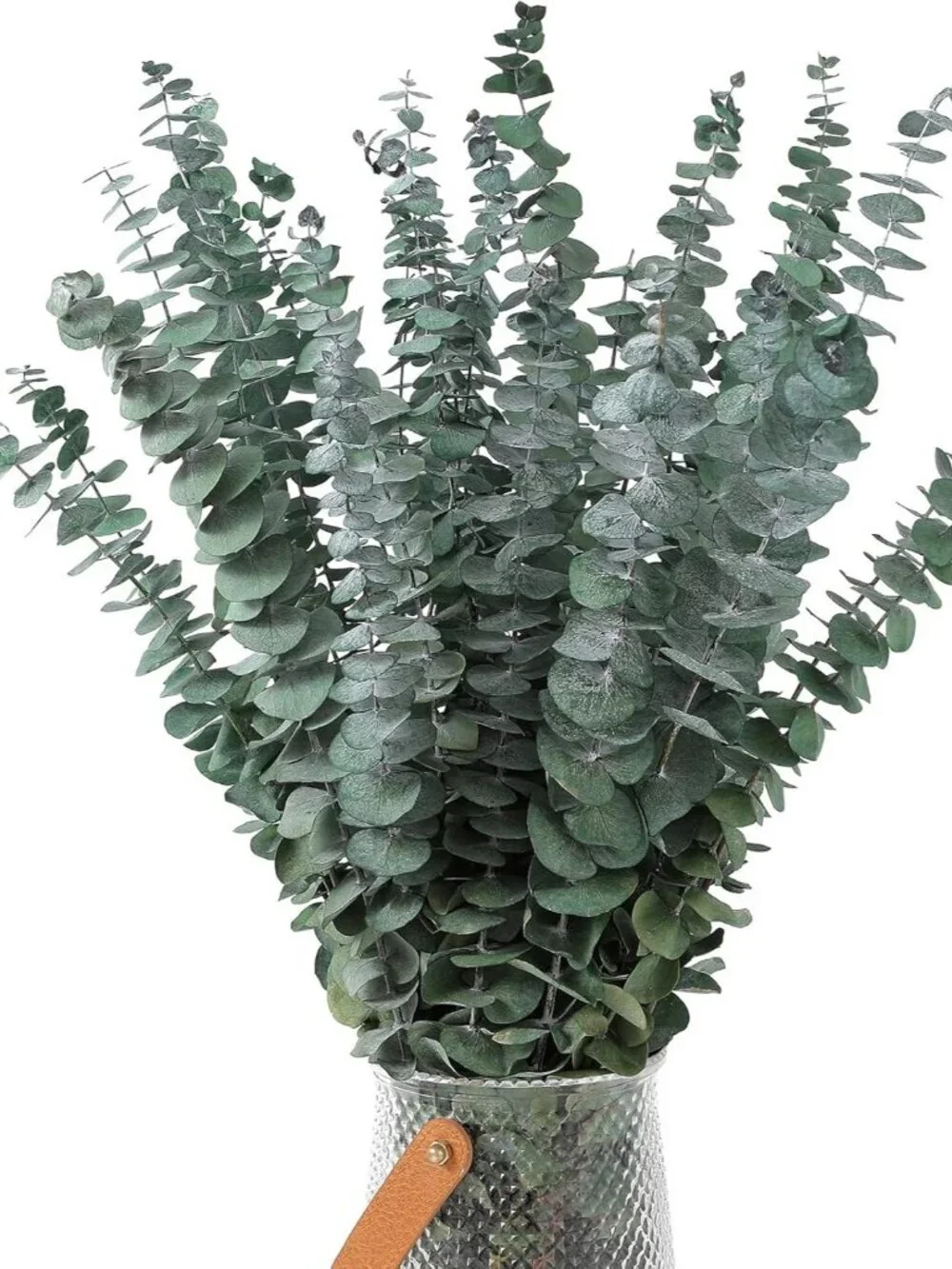 30 Pcs Dried Eucalyptus Stems 17